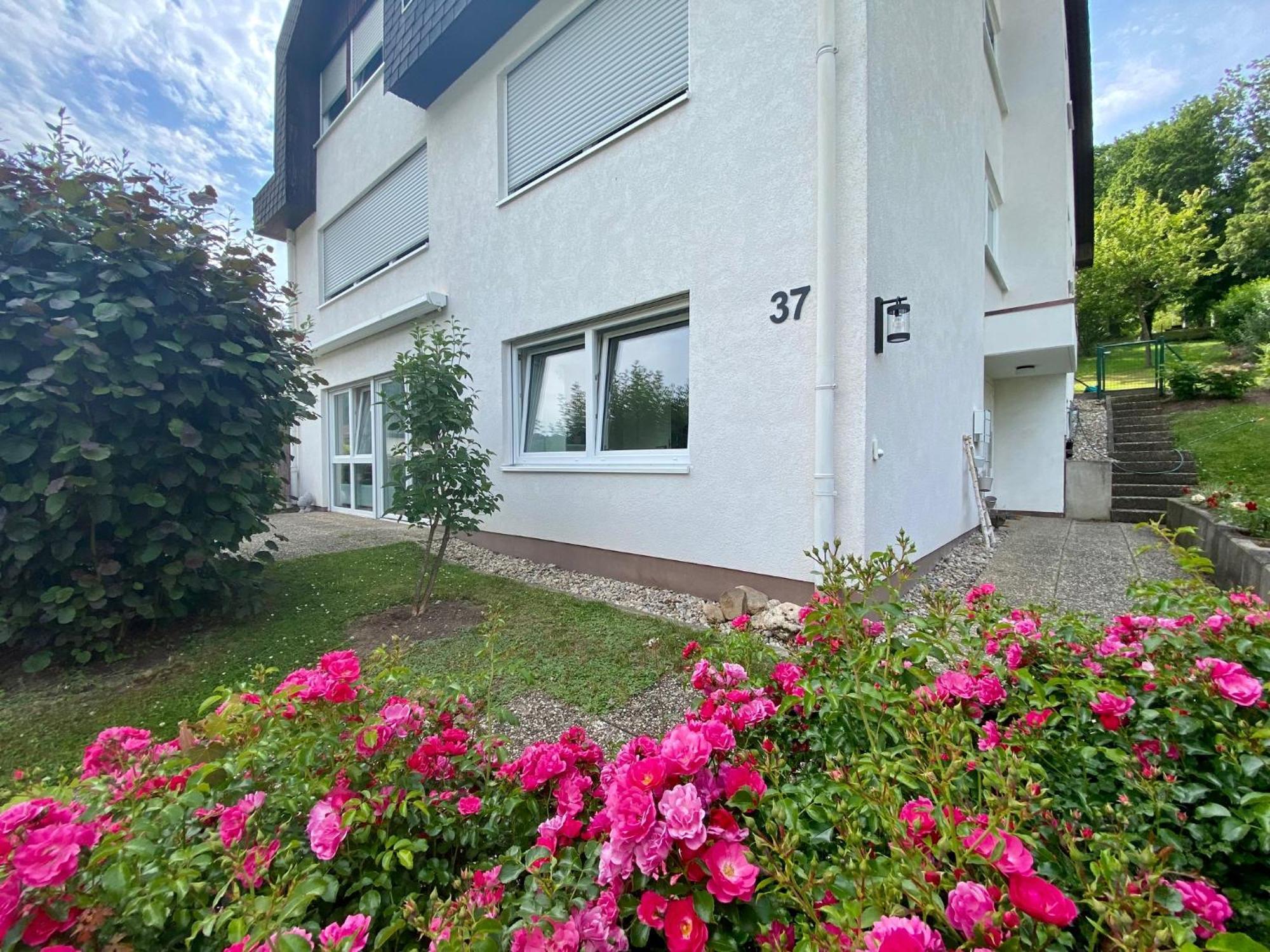 Neu: Ferienwohnung Zum Nussbaum - Landhausstil & Moseltalblick Traben-Trarbach Eksteriør bilde