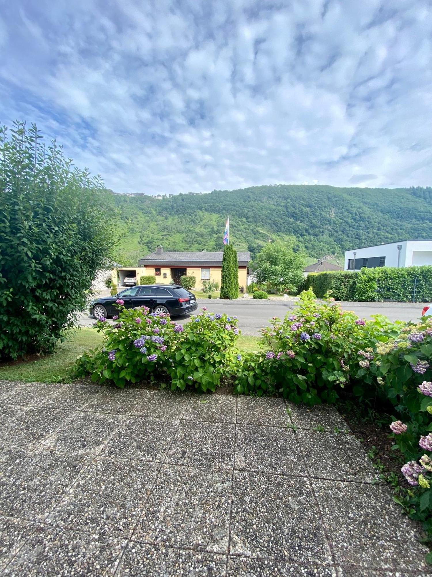 Neu: Ferienwohnung Zum Nussbaum - Landhausstil & Moseltalblick Traben-Trarbach Eksteriør bilde